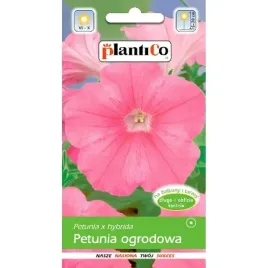 petunia-ogrodowa-rumba-amarantowo-rozowa-005-g-plantico