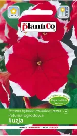 plantico-petunia-czerwona-iluzja-dwukolorowa-czerwono-biala-005g