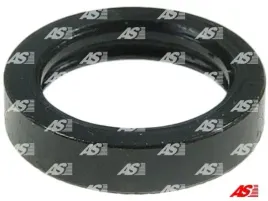 zestaw-naprawczy-rozrusznik-as-pl-srs3021