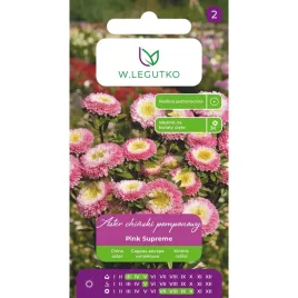 nasiona-aster-chinskipomponowy-pink-supreme-rozowy-z-bialym-srodkiem
