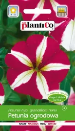 plantico-petunia-bialo-czerwona-sawa-005-g-nasiona-dwukolorowa-balkon