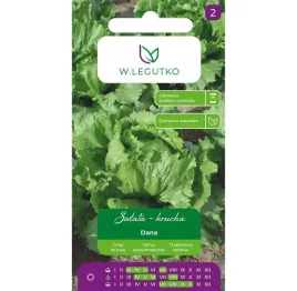salata-krucha-dana-nasiona-w-legutko-odporna-na-choroby-latwa-w-uprawie