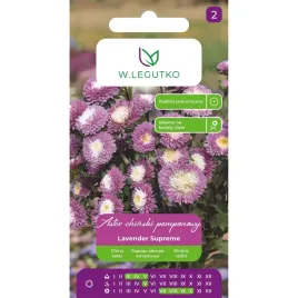 nasiona-kwiaty-astry-aster-chinski-pomponowy-fiolet-lavender-supreme