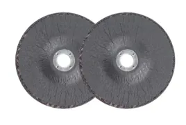 zestaw-tarcz-do-zdzierania-metalu-parkside-o-76-mm-2-szt