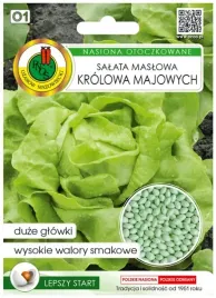 salata-krolowa-majowych-100-nasion-wczesna-odmiana-o-jedrnych-lisciach