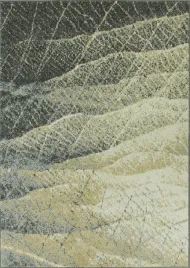 dywan-jasny-ciemny-szary-modny-miekki-nowoczesny-agnella-avanti-200x280-cm