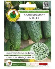 ogorek-izyd-f1-wyjatkowa-odmiana-srednio-wczesna-o-wysokiej-plennosci