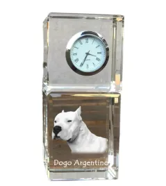 dog-argentynski-dogo-argentino-krysztalowy-zegarek-ze-zdjeciem-zdjecie
