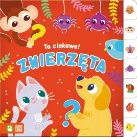 to-ciekawe-zwierzeta-zielona-sowa-dla-ciekawskich