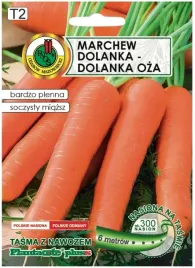 marchew-dolanka-6m-tasmy-z-nawozem-platnacote-bardzo-plenna-odmiana-pozna