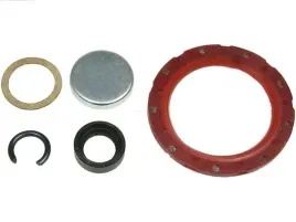 zestaw-naprawczy-rozrusznik-as-pl-sdk0002