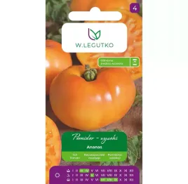 pomidor-gruntowy-tyczny-ananas-pomaranczowy-miesisty-slodki-miazsz-legutko
