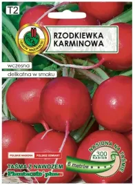 rzodkiewka-karminowa-tasma-6m-plennosc-smak-i-dluga-trwalosc