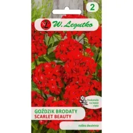nasiona-gozdzik-brodaty-scarlet-beauty-05g-legutko-roslina-dwuletnia