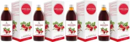 4-szt-ekamedica-symbiotics-dzika-roza-500-ml-naturalna-witamina-c-odpornosc