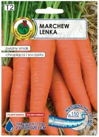 marchew-lenka-tasma-6m-plennosc-trwalosc-i-wyjatkowy-smak