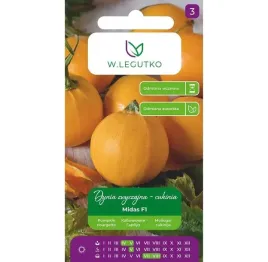 dynia-cukinia-midas-f1-zolta-3g-nasiona-legutko-idealna-dla-poczatkujacych