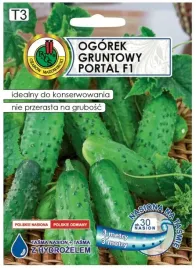 ogorek-traper-f1-tasma-6m-plenna-odmiana-srednio-wczesna-do-konserwowania