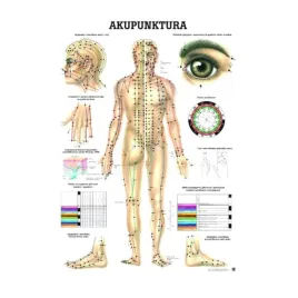 tablica-anatomiczna-akupunktura-nielaminowana-70x100-cm