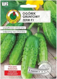 ogorek-zefir-f1-tasma-6m-wczesna-odmiana-o-uniwersalnym-zastosowaniu