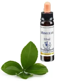 esencja-dr-bacha-20-mimulus-kroplik-zolty-10ml