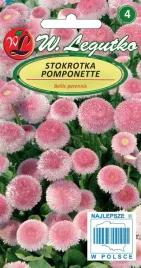 nasiona-stokrotki-pomponette-stokrotka-dwuletnia-rozowa