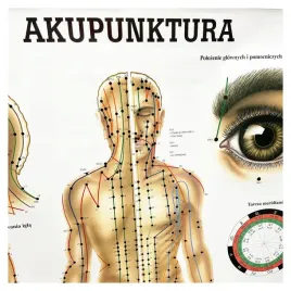 tablica-anatomiczna-laminowana-akupunktura