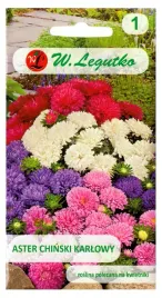 nasiona-astry-chinski-karlowy-125-g-aster-mieszanka