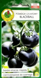 pomidor-gruntowy-blackball-02g-nasiona-warzyw