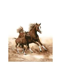 serwetki-konie-33-x-33-cm-20-szt-koniki-konik-kon-zwierzatka-zwierzatko