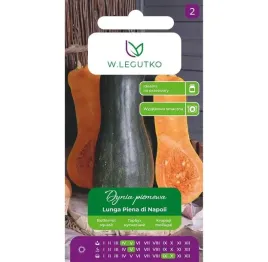 dynia-pizmowa-lunga-piena-di-napoli-zielona-2g-nasiona-legutko-dzwon