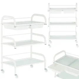 wozek-pomocnik-stolik-fryzjerski-kosmetyczny-spa-do-salonu-na-kolkach-calis