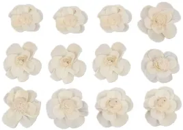 shola-potea-5-cm-bialy-kwiat-kwiatek-12-sztuk-szola-kwiatki-susz-egzotyczny