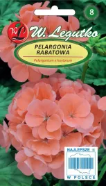pelargonia-rabatowa-gama-f1-lososiowa-005g-nasion-w-legutko-nasiona