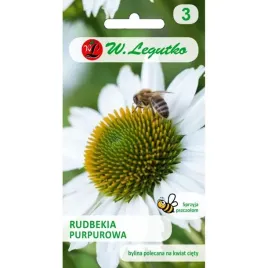 rudbekia-purpurowa-biala-05g-legutko-nasiona-jezowka-bylina