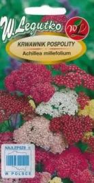 krwawnik-pospolity-mieszanka-03g-nasiona-legutko