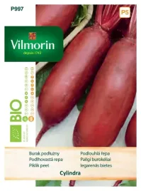 burak-podluzny-cylidra-egipski-bio-ekologiczne-nasiona-vilmorin