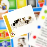 lisciani-i-m-a-genius-super-quiz-1000-pytan-czas-rozgrywki-do-30-minut