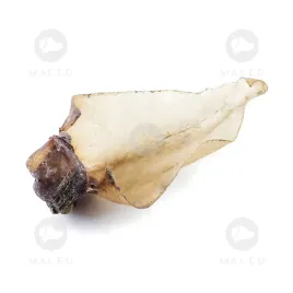 maced-ucho-wolowe-100percent-natura-1szt
