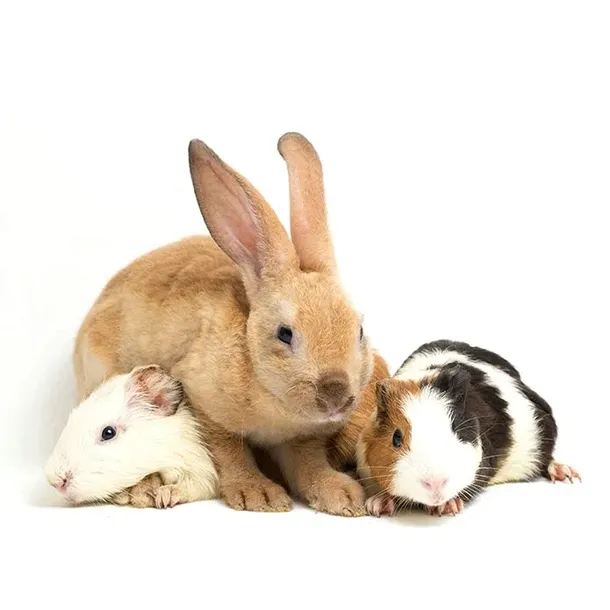 versele-laga-complete-cuni-sensitive-175kg-rodzaj-karmy-karma