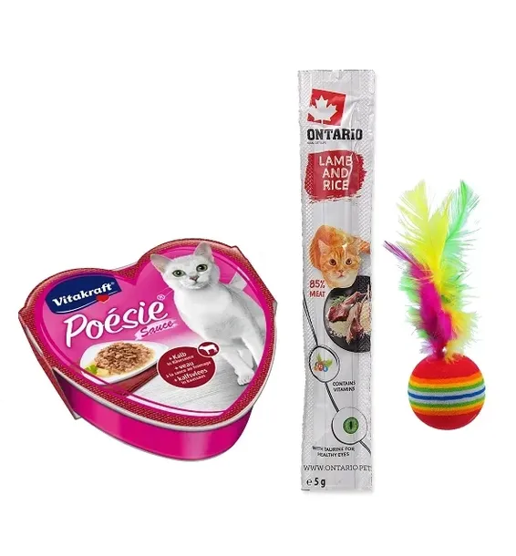 matisse-neutered-cat-20kg-wiek-zwierzecia-koty-dorosle