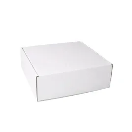 karton-wykrojnikowy-100x80x20mm-fasonowy-1000szt-bialy