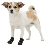 buty-ochronne-walker-active-l-2-szt-wzor-inny-wzor