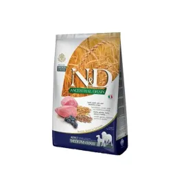 nandd-ancestral-grain-dog-lamb-spelt-and-blueberry-adult-medium-maxi-12kg