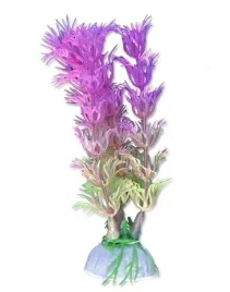 roslina-blister-10cm-1b07-happet