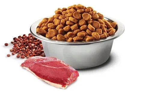 nandd-quinoa-cat-urinary-duck-300g-rodzaj-karmy-bezzbozowa-bio-z-prebiotykiem-z-probiotykiem