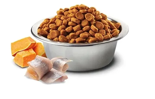 nandd-ocean-salmon-cod-cantalupe-medium-maxi-wielkosc-psa-rasy-duze-26-45-kg
