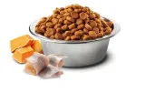 nandd-ocean-salmon-cod-cantalupe-medium-maxi-wielkosc-psa-rasy-duze-26-45-kg