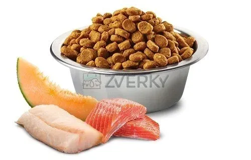 nandd-ocean-salmon-cod-cantalupe-medium-maxi-nazwa-handlowa-nd-ocean-salmon-cod-cantalupe-medium-maxi-12kg