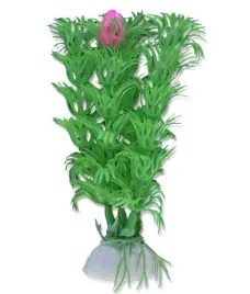 roslina-blister-10cm-1b06-happet